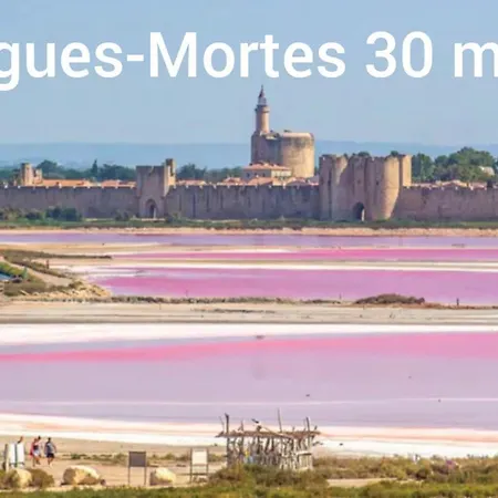 Spacieux Aux Portes De La Camargue * Beauvoisin (Gard)